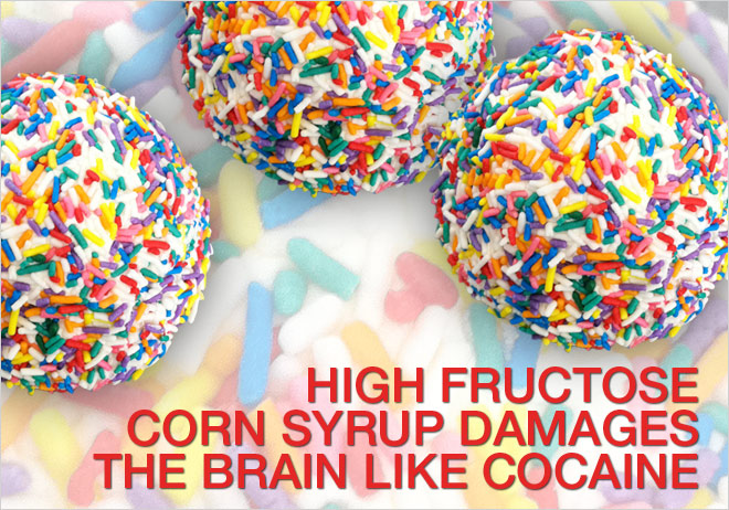 High Fructose Corn Syrup - HFCS